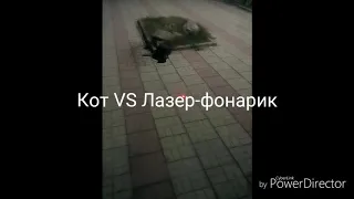 Кот VS Лазер-фонарик