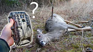 COYOTE BAIT & CELL CAM - Will it Work For Hunting?!