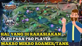 Hal Yang Aku Pelajarin Dari Turnamen MPL,Tutorial Roamer Di Meta Sekarang