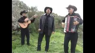 LA CALANDRIA - SAN ANTONIO NORTEÑO