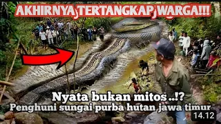 AKHIRNYA TERBUKTI.!! ULAR KEPALA MANUSIA PENUNGGU SUNGAI PURBA DI JAWA TIMUR BUKAN MITOS