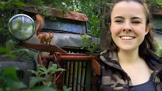 CAMERA TRAPPING RED SQUIRRELS