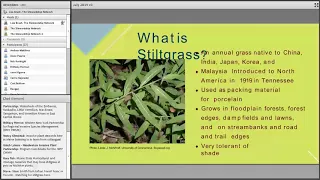 July 2019 Webcast: Strategic Management of Stiltgrass in the Wake of Early Detection