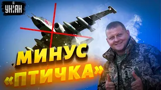 Украинские воины сбили российский Су-25. Момент попал на видео