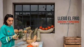 Llegó el FRÍO a nuestra CASA DE MONTE 🍂☁️ Cosecha de zapallos, conserva de tomates verdes y fueguito