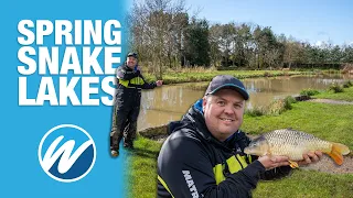 How to WIN Your Next Match On A Snake Lake | Ultimate Match Plan