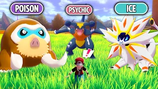 We Randomized Pokémon Types, Then We Battle!