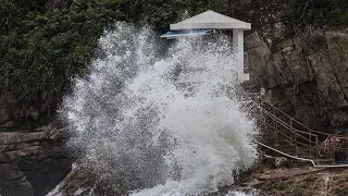 Typhoon Saola makes landfall in south China's Guangdong