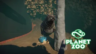 Planet Zoo S2 E21 - Вольер для длинномордых тюленей