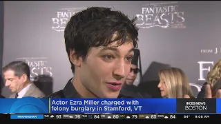 Ezra Miller, star of "The Flash," charged with felony burglary in Vermont