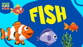 Fish | All About Fish | What is a Fish? | Educational Video | Science Lesson | OnlineClass4Kids