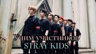 Знакомство с Stray Kids | Как различать Stray kids | Учим Stray kids