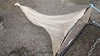 home made shrimp drag net