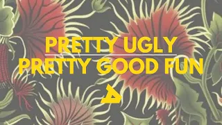 “Pretty Ugly”: Pretty Good Fun