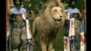 BBC Chronicles of Narnia: LWW - Chapter 5/6 Part 1/3