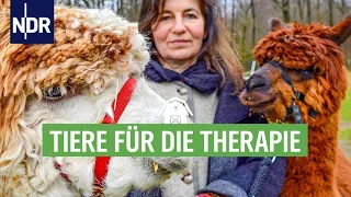 Therapeuten mit Fell und Federn - wenn Tiere heilen helfen | Die Nordreportage | NDR