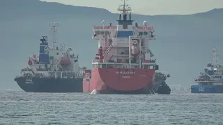 Strait of Gibraltar Shipspotting; Noon 16 Nov 2023 featuring a Dog and a Plane