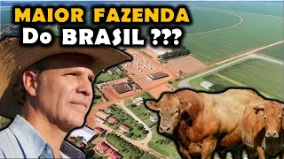 A MAIOR FAZENDA DO BRASIL -  Conheça a Fazenda Roncador