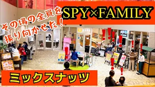 SPY×FAMILY 主題歌「ミックスナッツ」をストリート演奏！【ストリートエレクトーン】