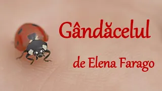 Poezia ”Gândăcelul” de Elena Farago | Poezii pentru copii | Poezii despre insecte