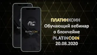 ПЛАТИНКОИН  Обучающий вебинар о блокчейне PLATINCOIN  20 08 2020