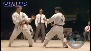 The 2nd Shoto World Cup - Men Kumite Final