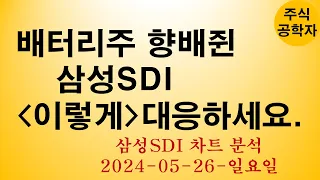 삼성SDI 주가전망 240526일