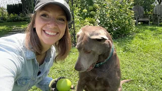 Garden With Me & Grace🐾 Japanese Beetle Control, Deadheading, Pesto Making, and MORE HYDRANGEAS!