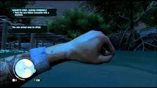 far cry 3 achievement poucher