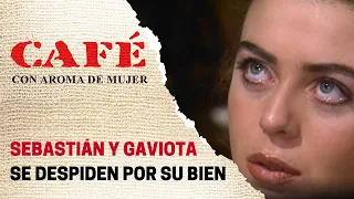 Gaviota y Sebastián hacen un doloroso pacto | Café, con aroma de mujer