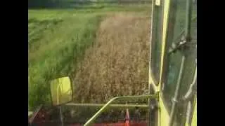 Harvest 2013 / Уборка 2013