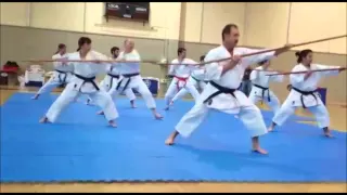 Bo Kihon Kata