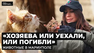 Что стало с брошенными животными в Мариуполе, и как выживает зоопарк | МИРНЫЕ