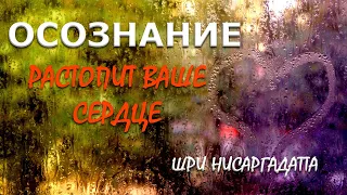 Осознание растопит ваше сердце [Шри Нисаргадатта]