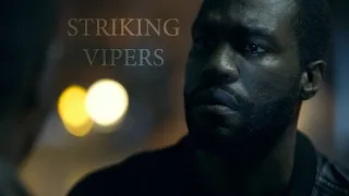 Striking Vipers