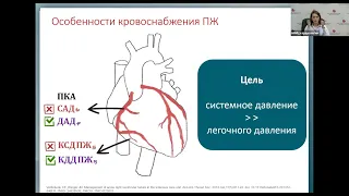 Острая ПЖ недостаточность Меркулова И.А.