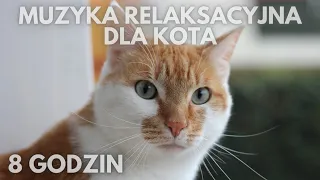 #95😺Muzyka relaksacyjna która spowoduje, że twój kot zaśnie na 100 % 😺KOŁYSANKA DLA KOTA