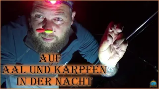 Mal kurz auf Aal Hecht und Karpfen