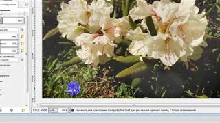GIMP 1.2. Корекція зображення та окремих ділянок