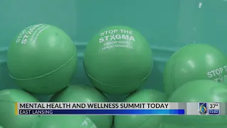 Mental health and wellness summit