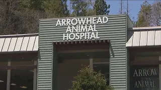 Lake Arrowhead animal clinic red-tagged after winter storms