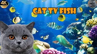 Cat TV for Cats to Watch | 24 Hours of Underwater Fish Videos for Cats