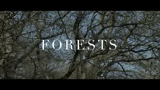 "FORESTS" | SOFT PIANO | Luke Faulkner