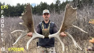 Shed Hunting E:5 - CRAZY Moose Paddles!How To Find More Sheds - Deer - Elk - Moose - TIPS