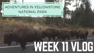 OUR FIRST TIME VISITING YELLOWSTONE || WEEK 11 VLOG || FULLTIME RV LIVING