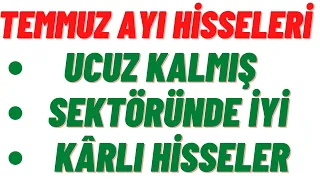 Temmuz Ayında Ucuz Kalmış Sektöründe İyi ve Karlı Şirketler ( Temmuz Hisseleri)