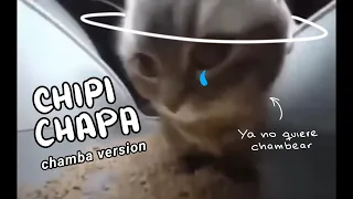 CHIPI CHAPA VERSIÓN CHAMBA