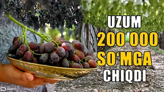 “Bir kilo uzum goʻsht narxida sotilyapti” -Toshkent bozorlaridan reportaj