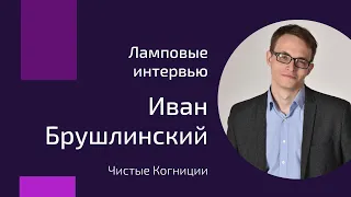 Иван Брушлинский — о психологе в политике, "Руси сидящей" и этических проблемах