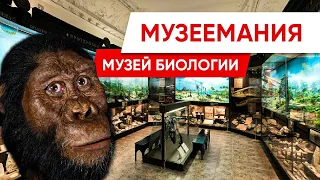 Музеемания. Биологический музей